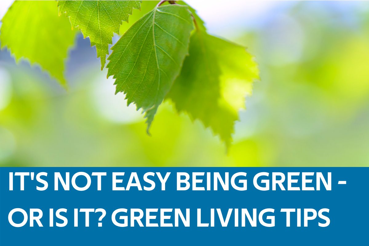 Green Living Tips Featured Image