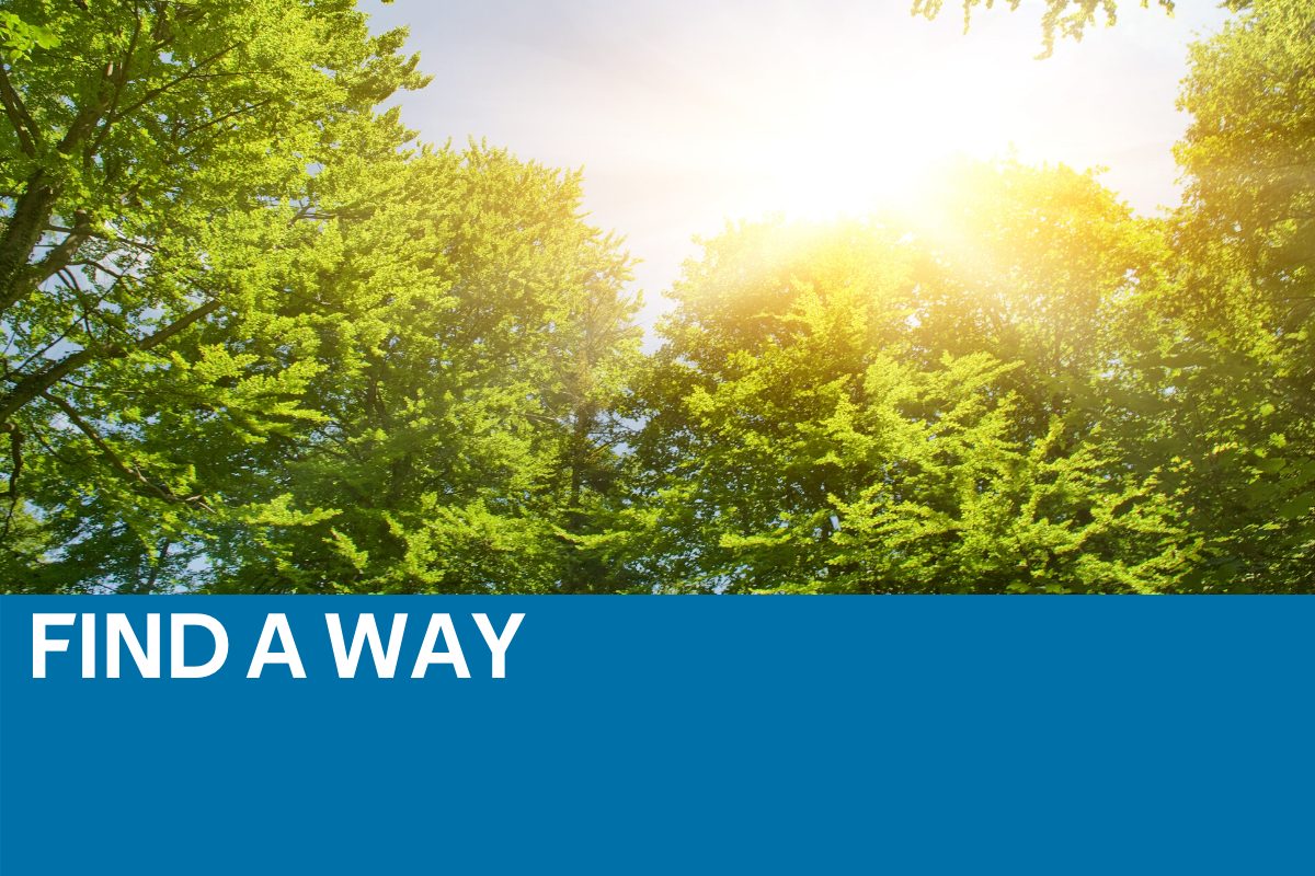 Tim Brown Featured Image