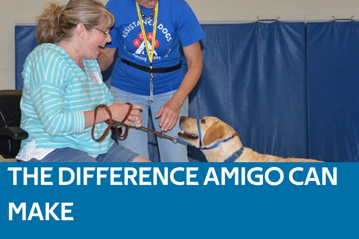 Amigo Difference Featured Image