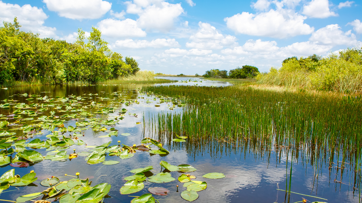 Everglades National Park - Handicapped Friendly Vacation