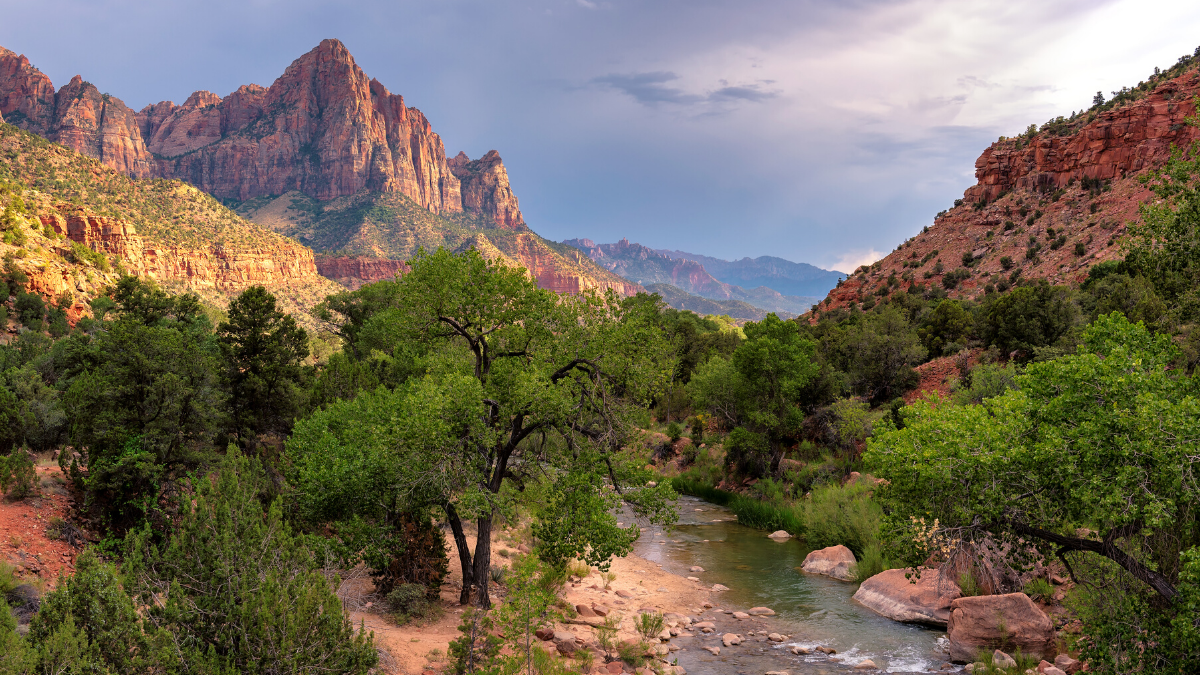 Zion National Park