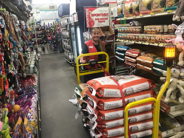 Grocery stocking with Max Pro at Big R